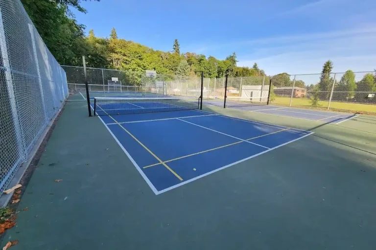 Outdoor view of Lakeridge Playfield Pickleball and Badminton Courts, home to outdoor pickleball courts in Seattle, WA.